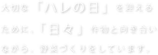 大切な「ハレの日」を迎えるために、「日々」作物と向き合いながら、野菜づくりをしています。